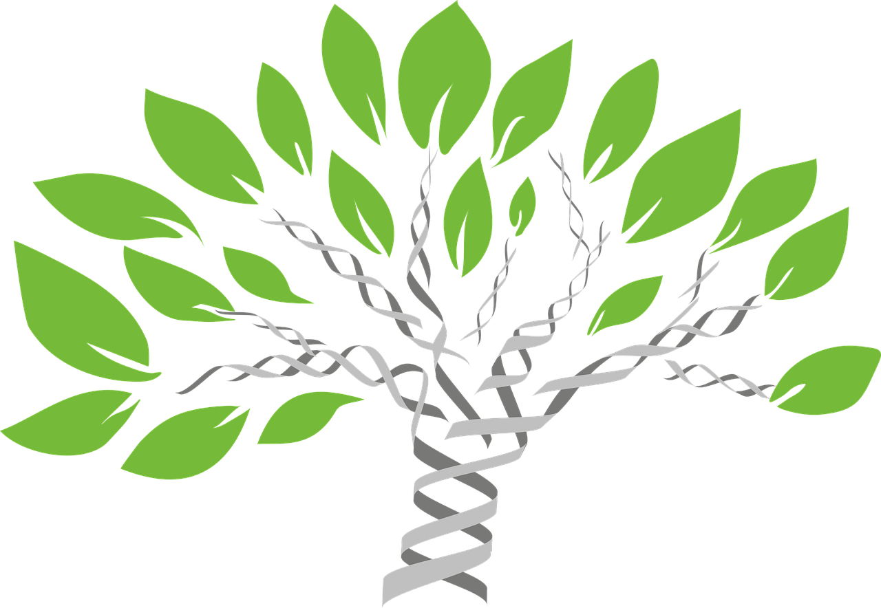 Epigenetics